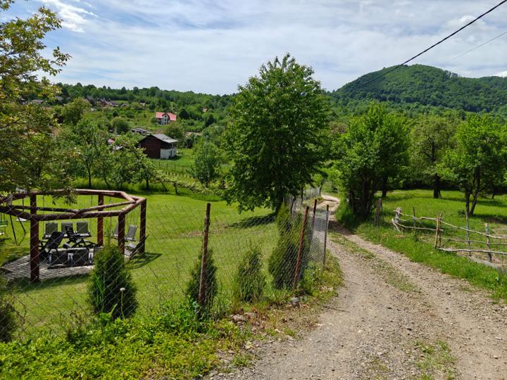 Drumul spre cabană și pergola