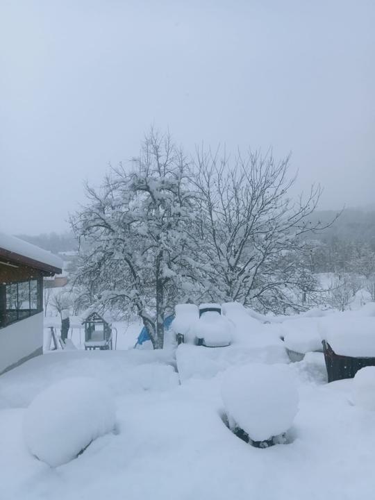 Zăpadă în curte