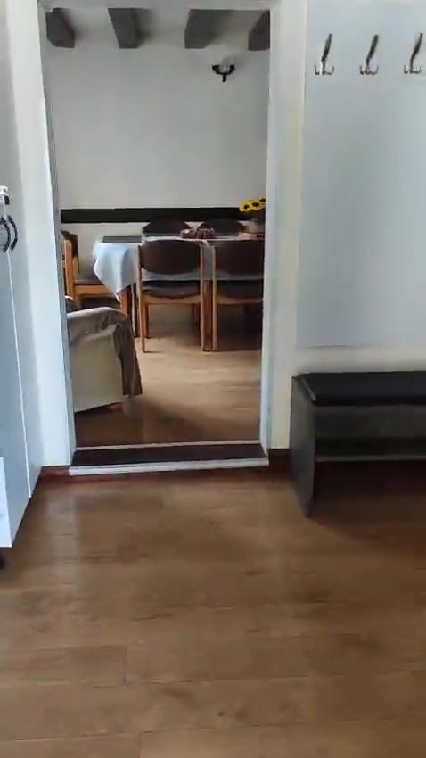 Video: tur prin interior