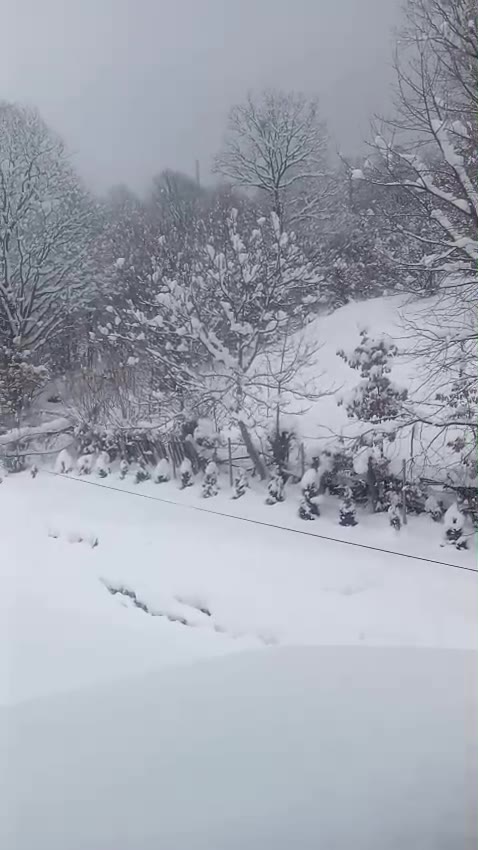 Video: ninsoare la cabană